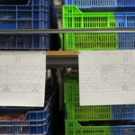 Arxiu Arqueològic Municipal de Lleida