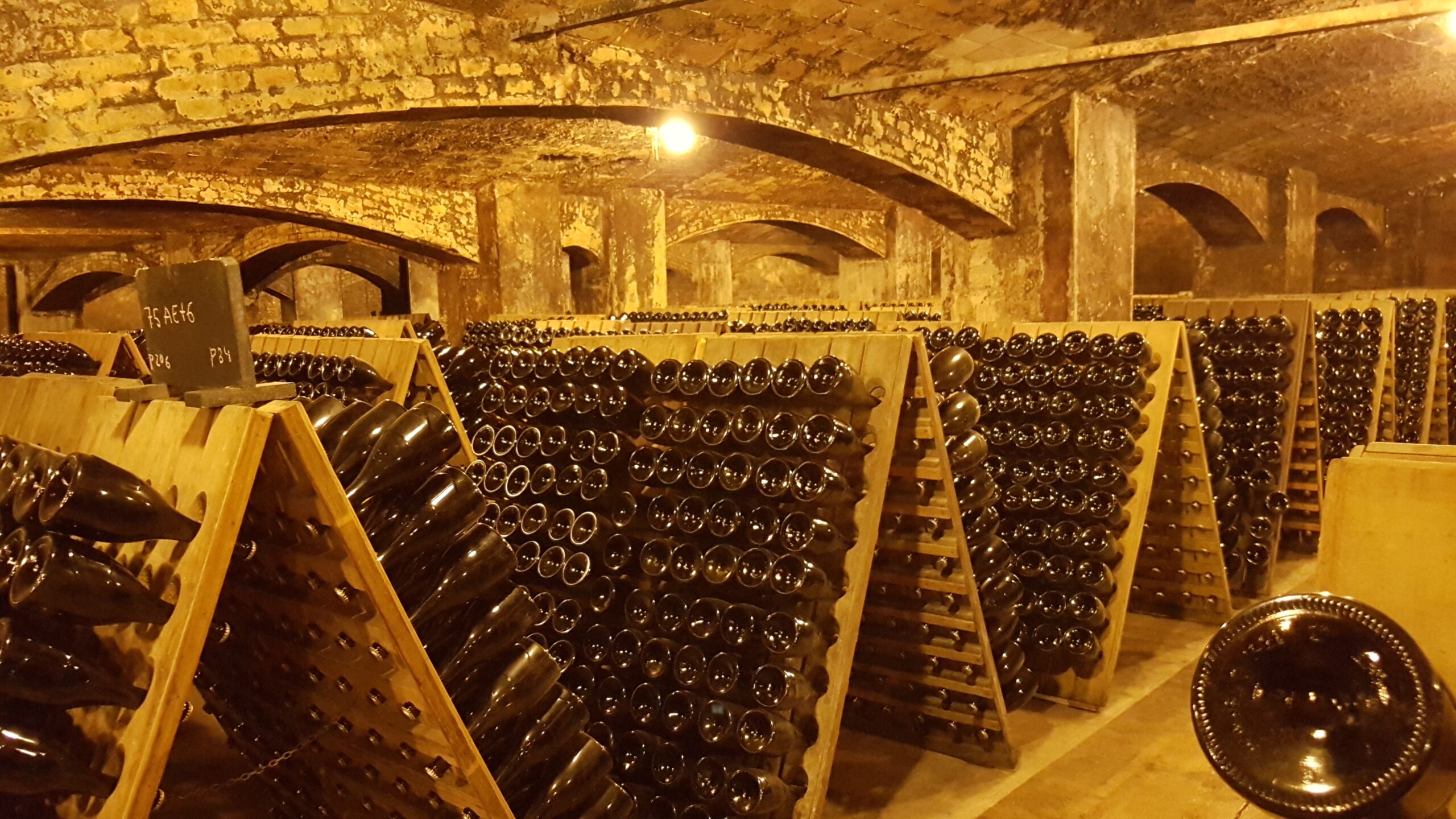 Caves Juvé & Camps, Sant Sadurní d'Anoia