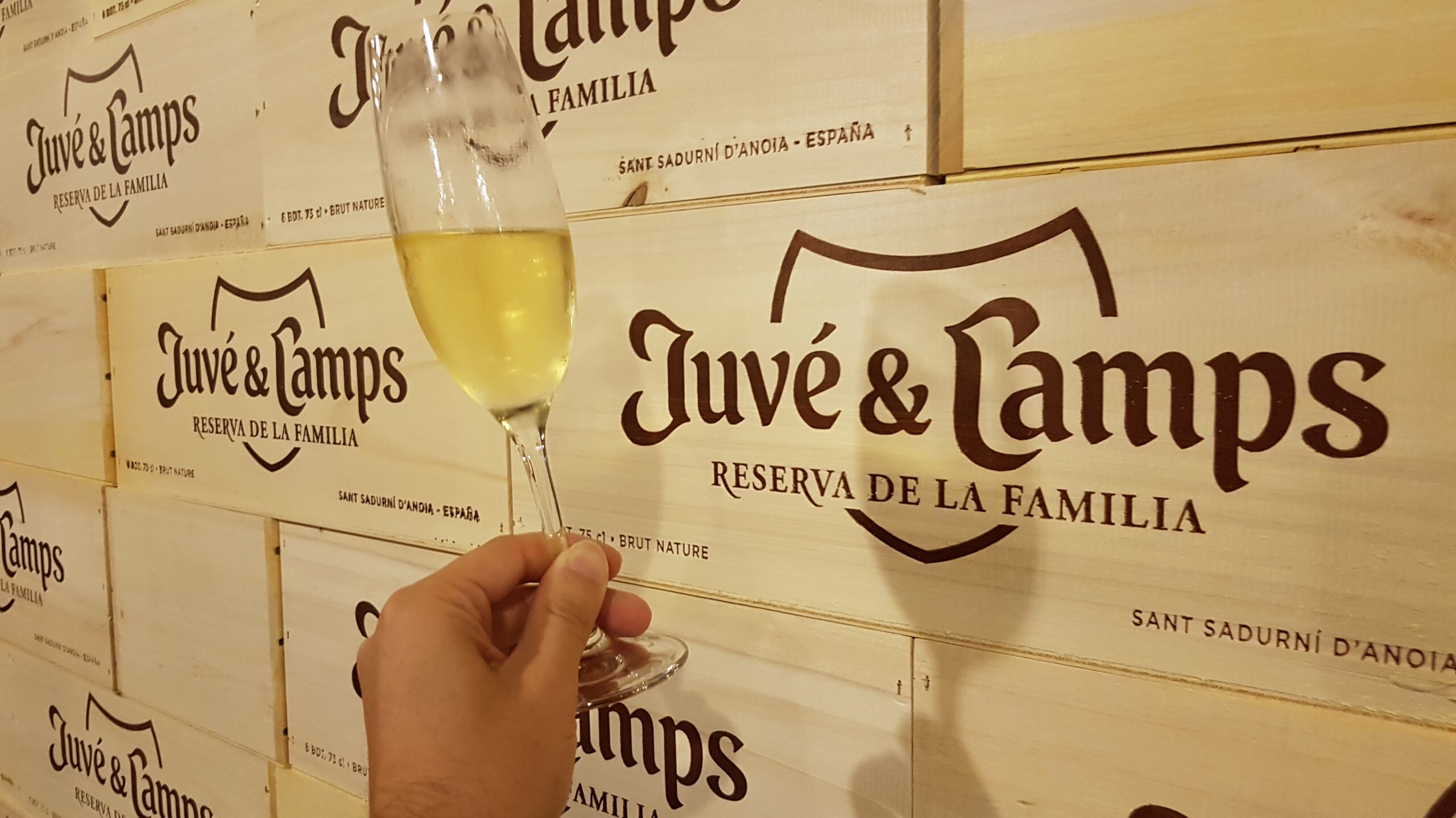 Caves Juvé & Camps, Sant Sadurní d'Anoia